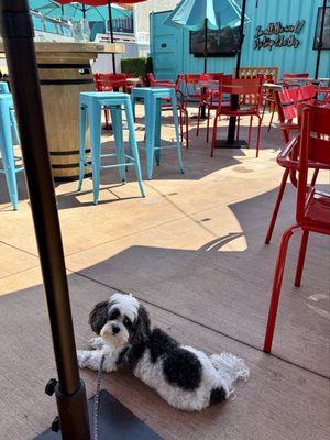 Flx Biergarten by null