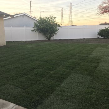 Connor's Landscape - When we moved in, our backyard was bare and empty. We knew we wanted some grass and Mike and his team gave us beautiful green landscaping! - Irrigation Near Me