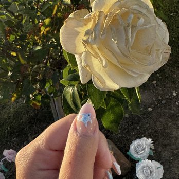 Mood Nail Lounge - Nail Technicians Near Me - Fremont, California Mood Nail Lounge - Nail Technicians Near Me - Fremont, California