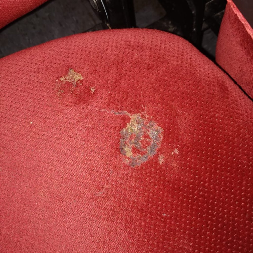 AMC Niles 12 - Disgusting!! - Cinema Near Me - Niles, Illinois