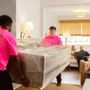 Photo of Pink Zebra Moving