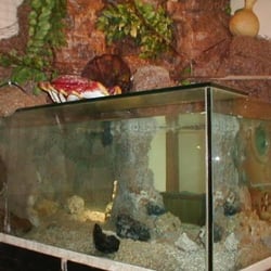 El Timón del Terraza