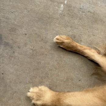 Petco - Pet Stores Near Me - Ewa, Hawaii