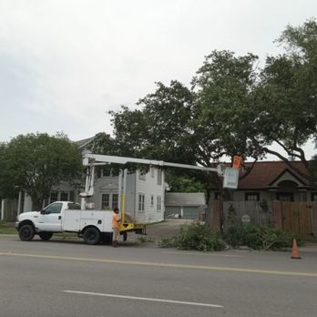 Arbortex Tree Service - Tree Services Near Me - Corpus Christi, Texas Arbortex Tree Service - Tree Services Near Me - Corpus Christi, Texas