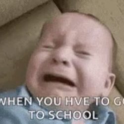 Hewes Middle School - Everyone who goes here