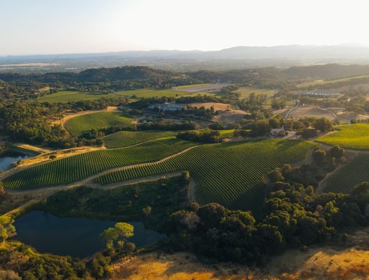 Chalk Hill Estate Vineyards by null