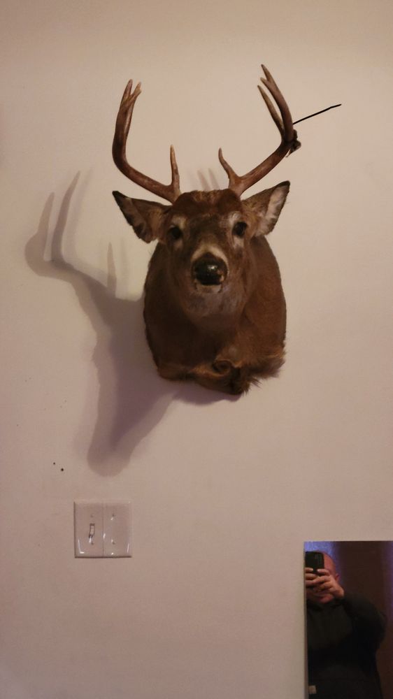 Turkey Jack’s Taxidermy and Camouflaging - taxidermy in Covington, IN