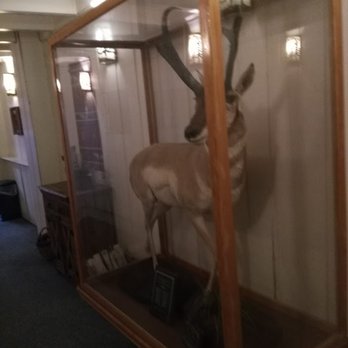 Antelope Club - Mascot - Cigar Bars Near Me - Indianapolis, Indiana