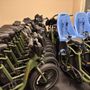 Marina Bike Shop