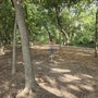 Alex Clark Memorial Disc Golf Course