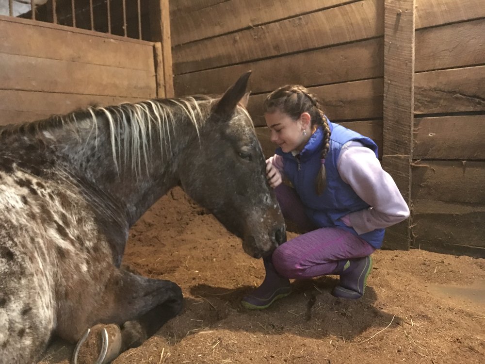 Ride The Sky Stables - equestrian in Apex, NC