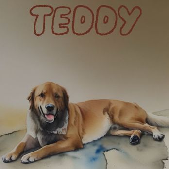 The Barktique - Teddy is looking and feeling great - Pet Groomers Near Me - Austin, Texas The Barktique - Teddy is looking and feeling great - Pet Groomers Near Me - Austin, Texas