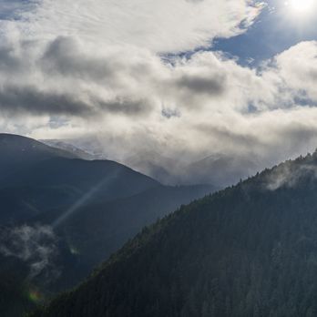 Evergreen Escapes - Tours Near Me - Seattle, Washington Evergreen Escapes - Tours Near Me - Seattle, Washington