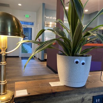 Bennu Coffee - Coffee & Tea Near Me - Austin, Texas