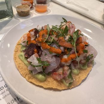 Holbox - Ceviche Mixto - Latin American Near Me - Los Angeles, California Holbox - Ceviche Mixto - Latin American Near Me - Los Angeles, California