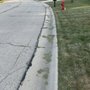 Photo of Lillians Lawn Care Service