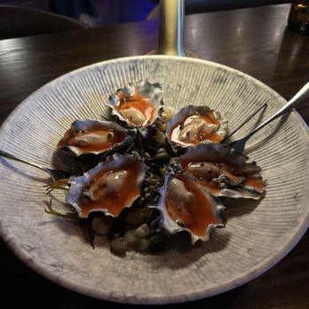 Sparrow + Wolf - Chilled oysters - New American Near Me - Las Vegas, Nevada Sparrow + Wolf - Chilled oysters - New American Near Me - Las Vegas, Nevada