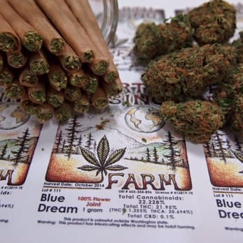 GreenHead Cannabis - Organically grown Blue Dream Prerolls by Earth Rising Farm - Cannabis Clinics Near Me - Vancouver, Washington GreenHead Cannabis - Organically grown Blue Dream Prerolls by Earth Rising Farm - Cannabis Clinics Near Me - Vancouver, Washington
