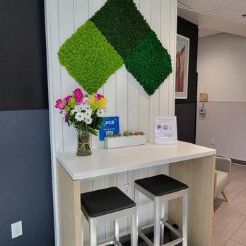 VCA VENTURE ANIMAL HOSPITAL Updated June 2025 64 Photos 270 Reviews 8750 Venice Blvd Los Angeles California Veterinarians Phone Number Yelp