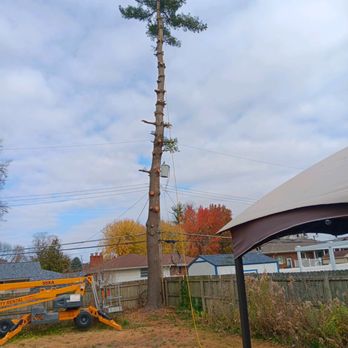 T & J Tree Service - Tree Services Near Me - Belleville, Illinois