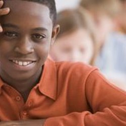 Educational Consultant - Identifying Learning Styles and Organizational Skills
