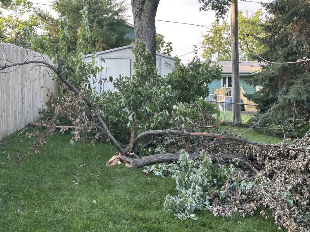 1st Choice Tree Service - tree service in Lincoln, NE