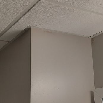 Montreal Beach Resort - Mold in bathroom - Hotels Near Me - Cape May, New Jersey