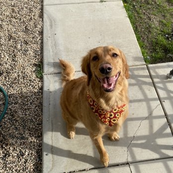 Mountainview Pet Boutique - Jayne! - Pet Groomers Near Me - Lake Elsinore, California Mountainview Pet Boutique - Jayne! - Pet Groomers Near Me - Lake Elsinore, California