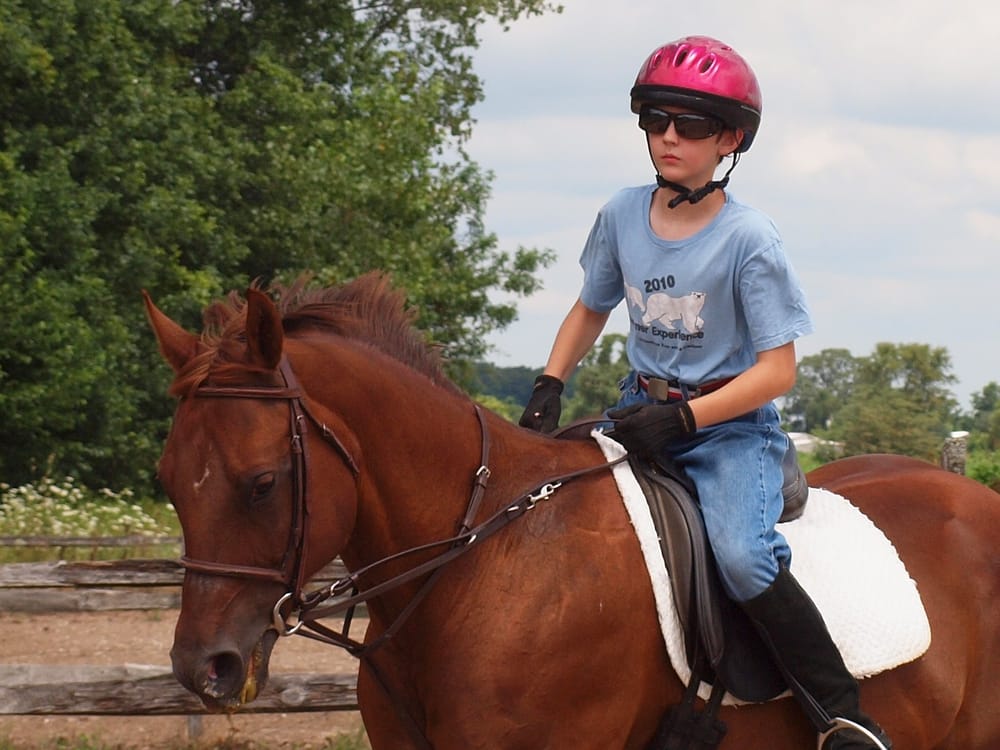 Exalt & Salute - equestrian in West Jefferson, OH