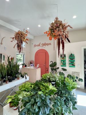 Nourish Botanica by null