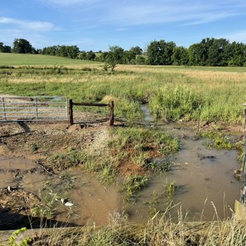 Code 4 Land Services - Cleared fence row and new fence. - Landscaping Near Me Code 4 Land Services - Cleared fence row and new fence. - Landscaping Near Me