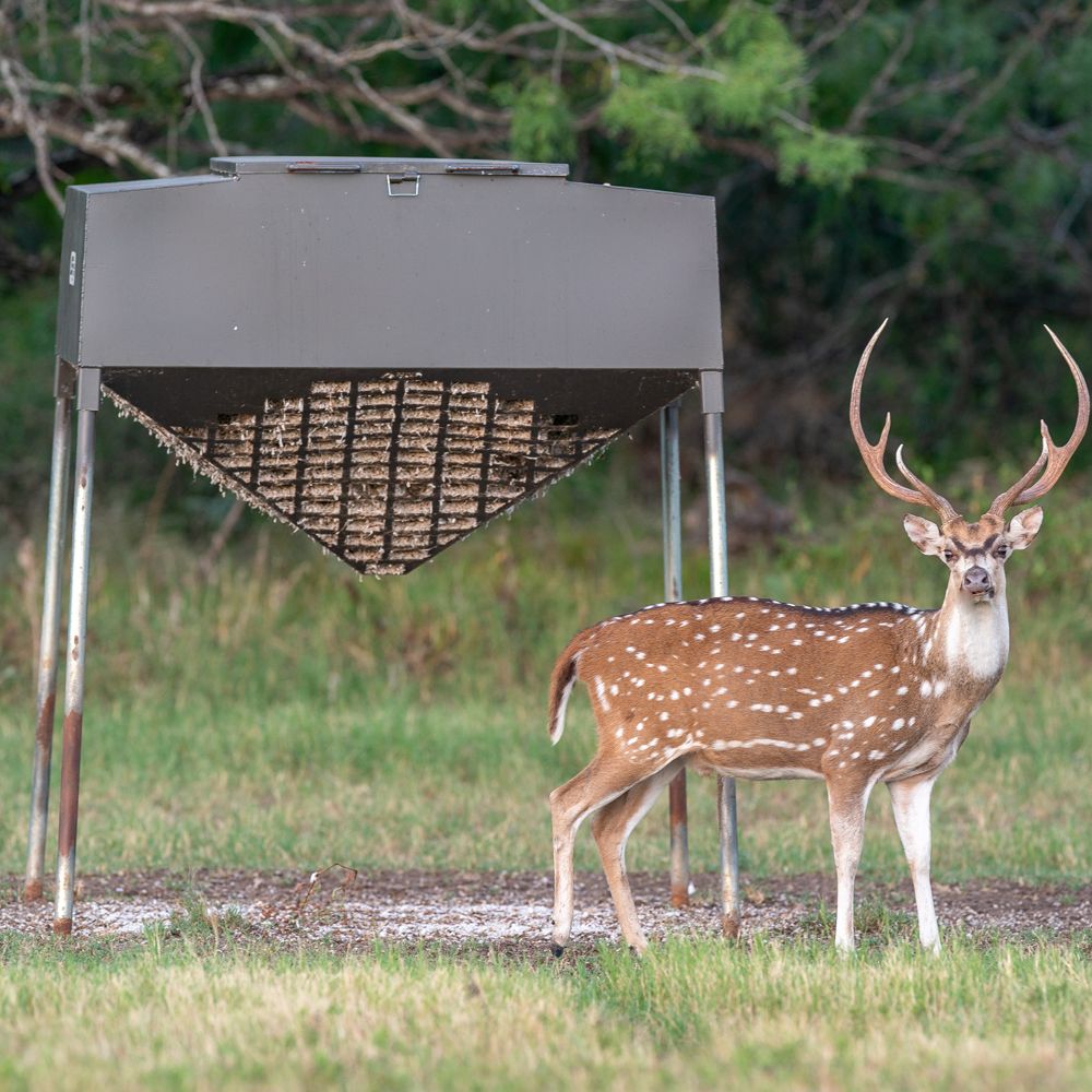 ALL SEASONS FEEDERS Updated September 2024 24 Photos 8424 US Hwy