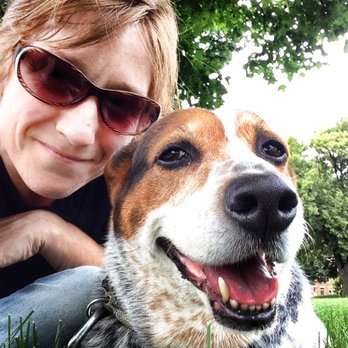 Brazen Tails Dog Walking Service - Dog Walkers Near Me Brazen Tails Dog Walking Service - Dog Walkers Near Me
