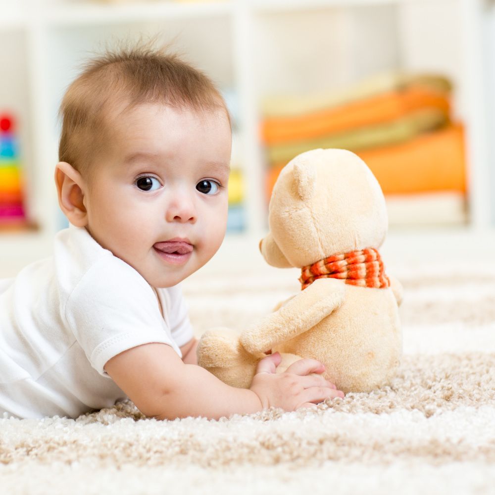 PROONE CARPET & DUCT CLEANING 361 Station Street, Belleville