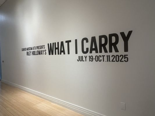 African American Cultural and Heritage Facility by null