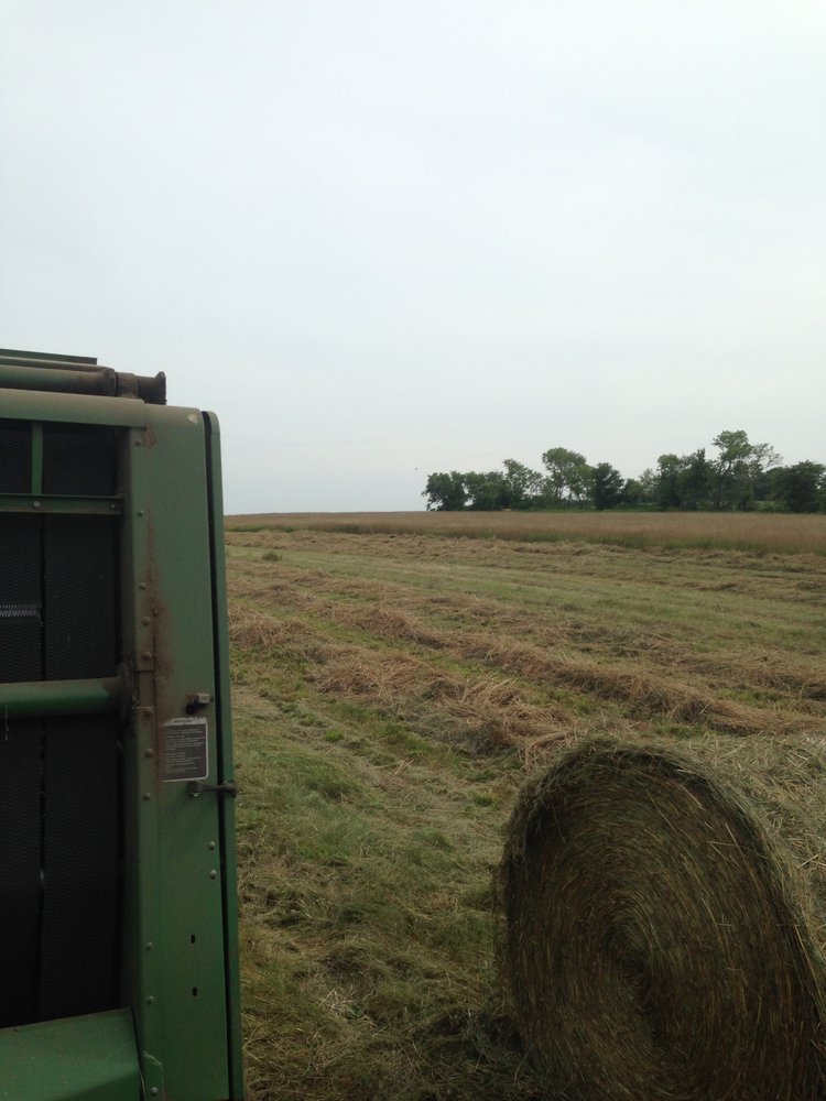 ONTARIO GRASS FED BEEF Updated September 2024 Road off the 401, Newtonville, Ontario Meat