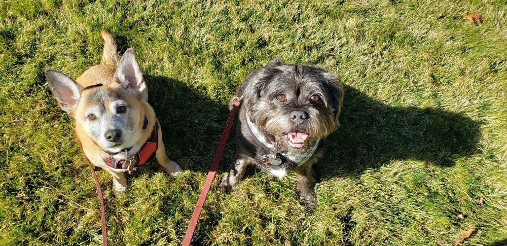 Mr. Cappers' Happy Pets