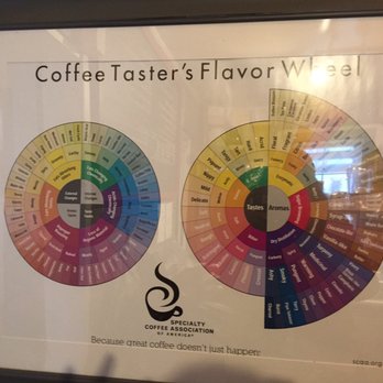caf bar - Fun artwork! - Coffee & Tea Near Me - wakefield, Rhode Island