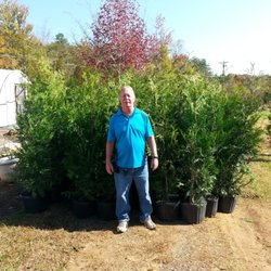 Wind Chime Nursery - Please visit my website www.windchimenursery.com  Jim with 5 to  6 foot green giant arborvitae. 5 gallon