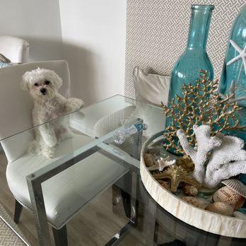 Terrie's Polished Paws - Pet Groomers Near Me