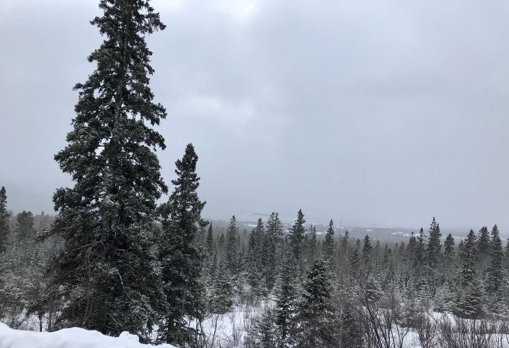 PINCUSHION MOUNTAIN TRAIL SYSTEM MN61, Grand Marais, MN Yelp