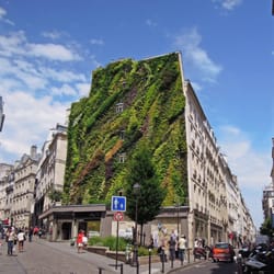 L'Oasis d'Aboukir