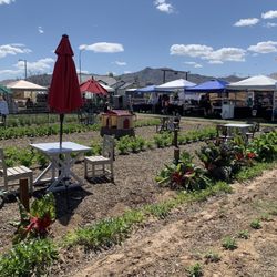 Amadio Ranch Farm Store - Farmers Market on Saturday