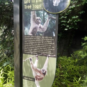 Indianapolis Zoo - Zoos Near Me - Indianapolis, Indiana Indianapolis Zoo - Zoos Near Me - Indianapolis, Indiana
