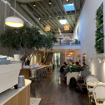 Bluestone Lane Harvard Square Café - Coffee & Tea Near Me - Cambridge, Massachusetts Bluestone Lane Harvard Square Café - Coffee & Tea Near Me - Cambridge, Massachusetts