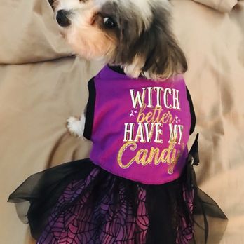 Pet Spaw - Ready for Halloween ! - Pet Groomers Near Me - Glendora, California Pet Spaw - Ready for Halloween ! - Pet Groomers Near Me - Glendora, California