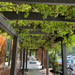 The Georgia Winery - Path to go in- grapevines