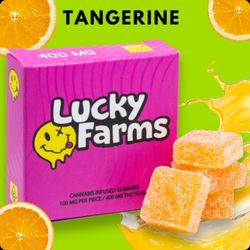 Lucky Farms - Riverside - Lucky Farms' 1000mg Tangerine Gummies: Zesty tangerine meets top-tier distillate & elite terpenes. Dive into citrus bliss with each bite!