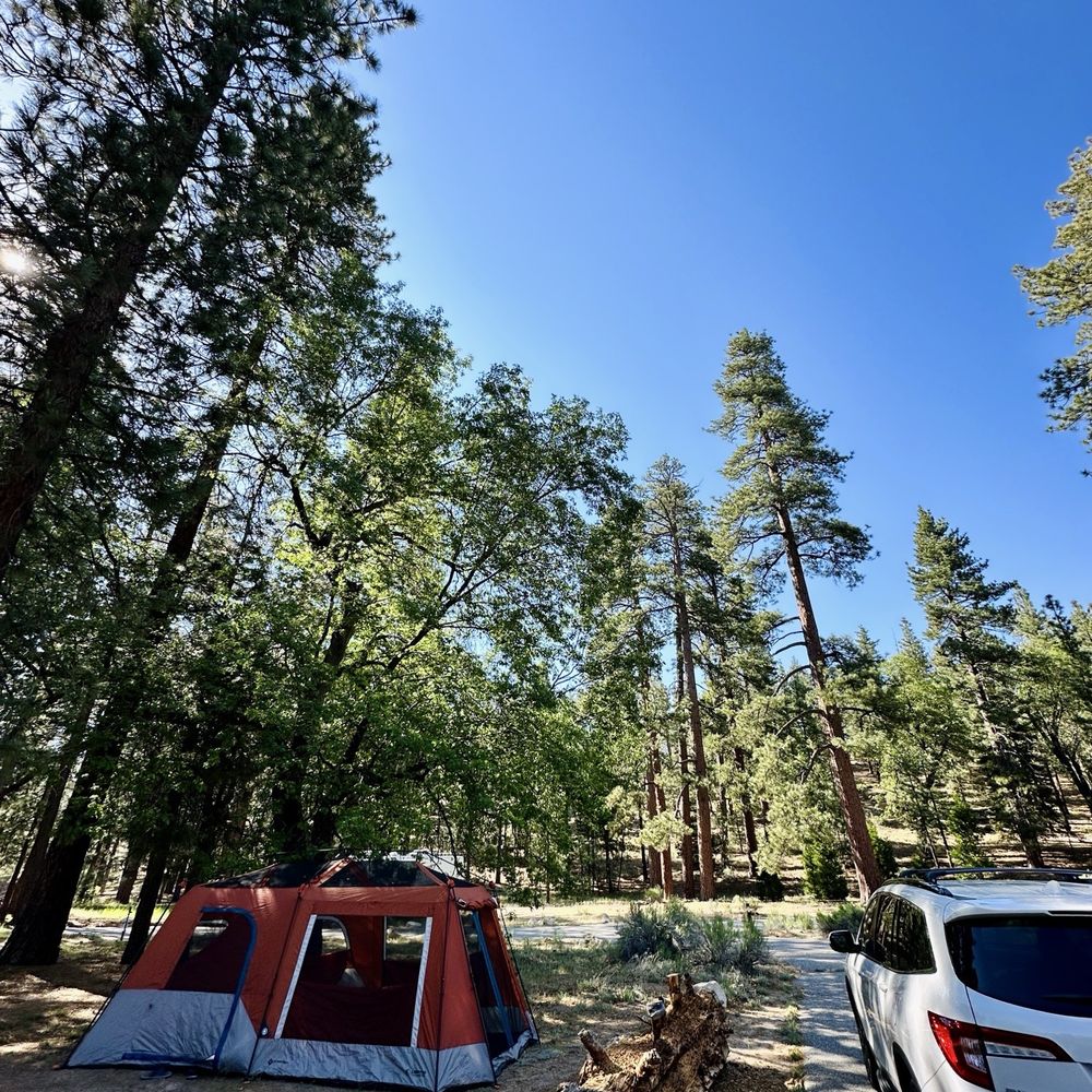 Barton Flats Campground - Campgrounds Near Me - San Bernardino, California