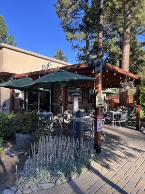 Sage Leaf Tahoe by null